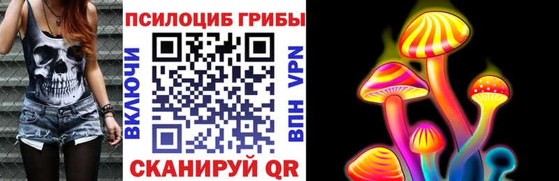 наркошоп  Волгодонск  Псилоцибиновые грибы MAGIC MUSHROOMS 